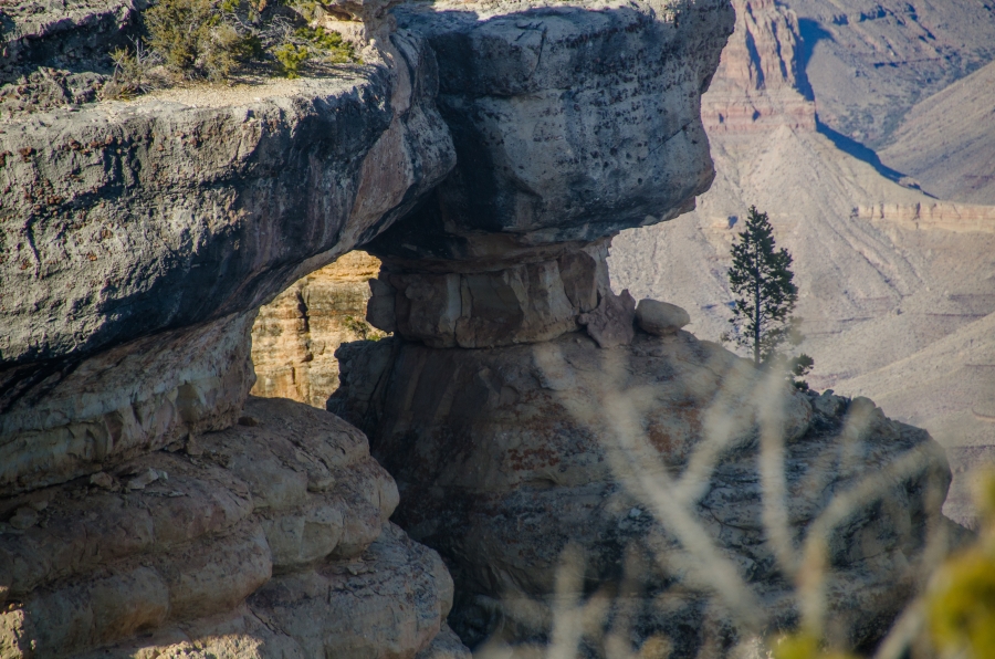 Grand Canyon NP • © Hobbit Hill Photography